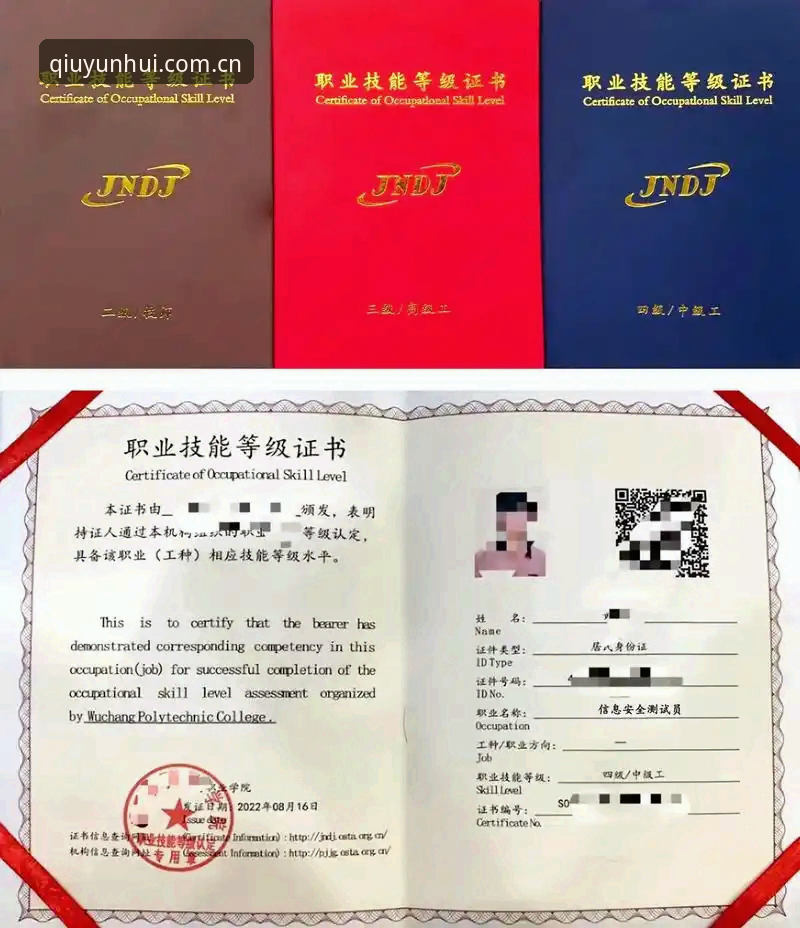 技术评测员亲测：球盟会最新版本v2.2.1使用心得与实战经验分享